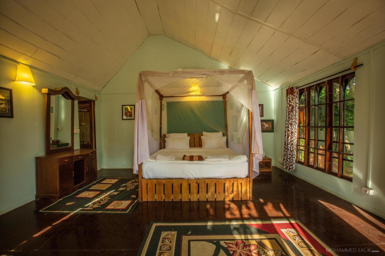 La La Land Resort Goa By Spicy Mango 팔로렘 외부 사진