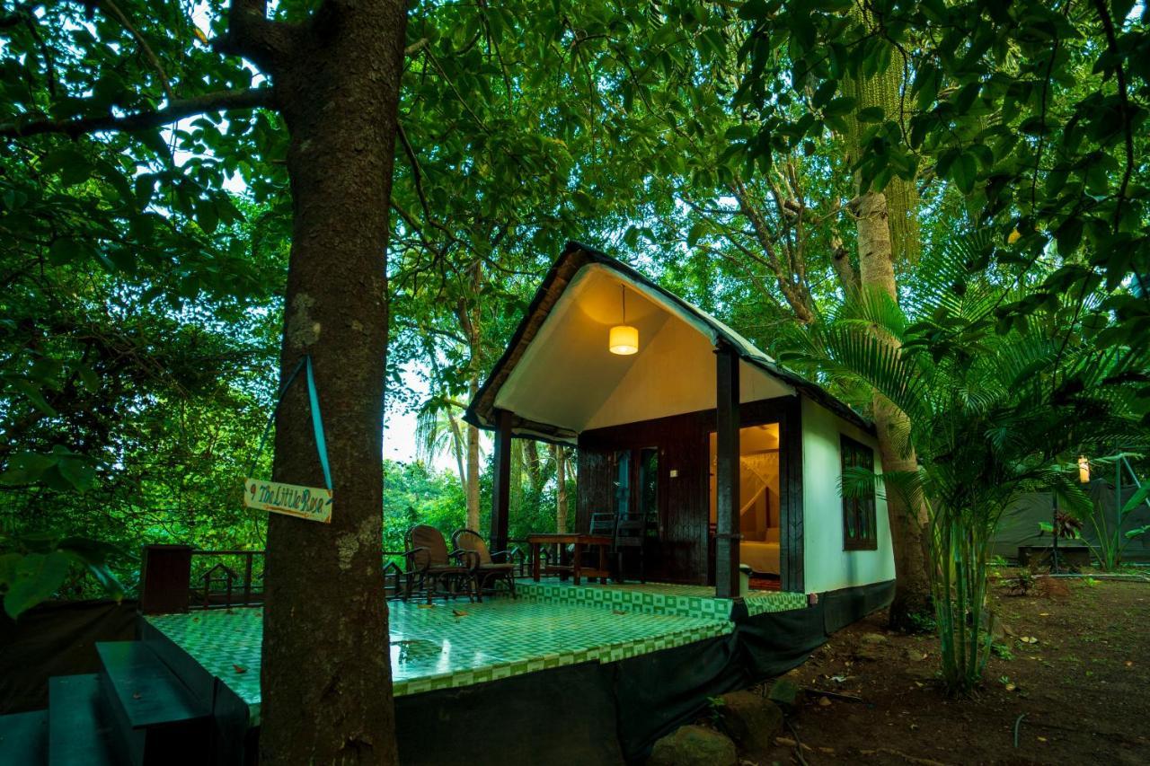 La La Land Resort Goa By Spicy Mango 팔로렘 외부 사진