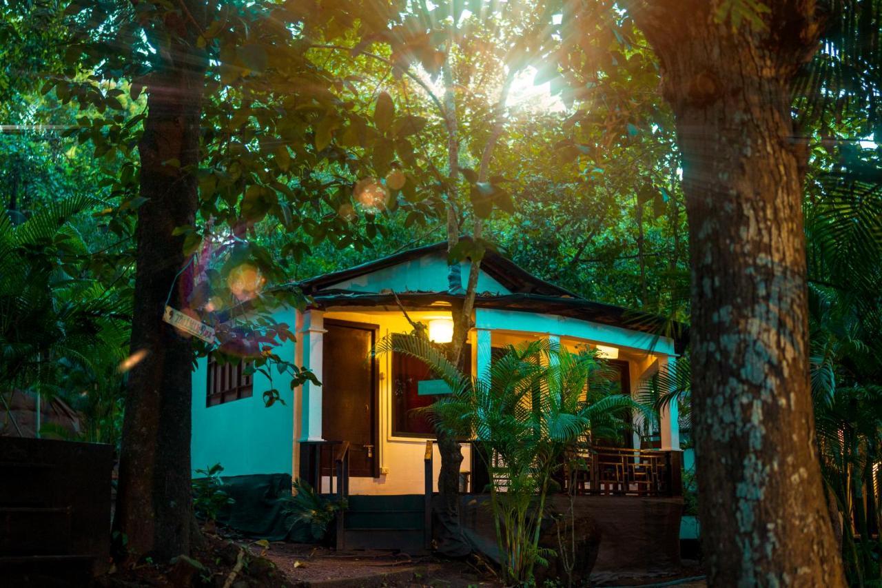 La La Land Resort Goa By Spicy Mango 팔로렘 외부 사진