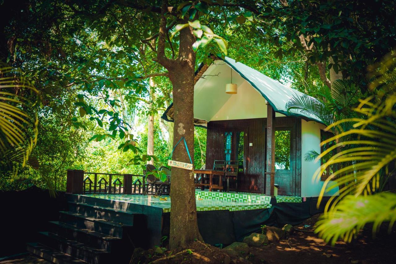 La La Land Resort Goa By Spicy Mango 팔로렘 외부 사진